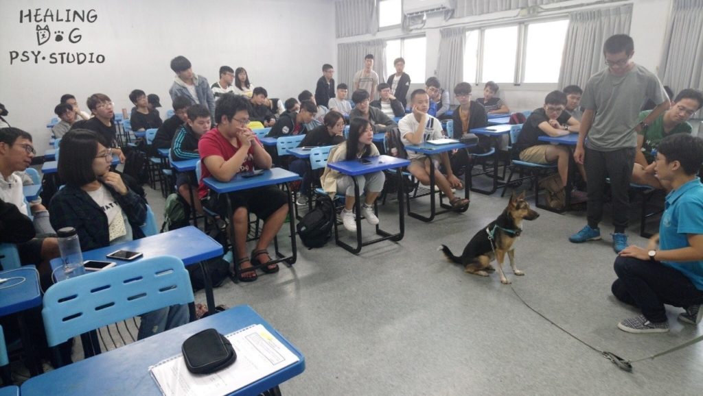 逢甲大學諮商中心 療癒犬 體驗4