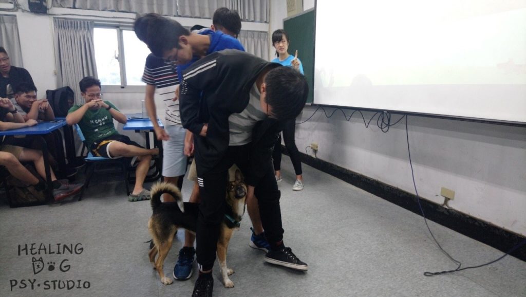 逢甲大學諮商中心 療癒犬 體驗3