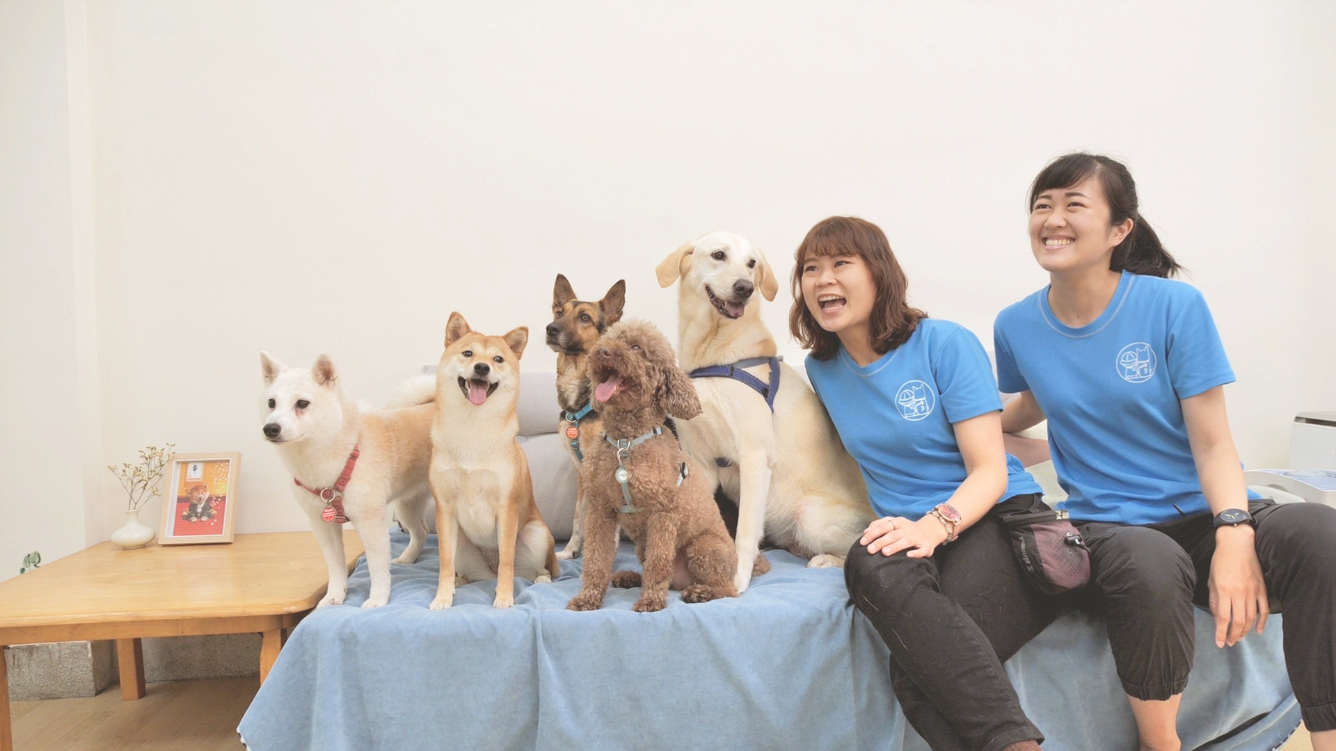2021.04 新竹心路基金會 療癒犬體驗活動 活動紀錄