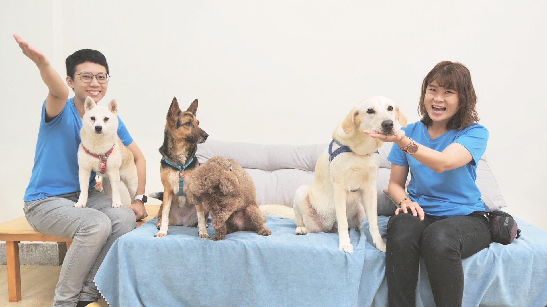 2019療癒犬夏令營初階班 第三梯活動紀錄
