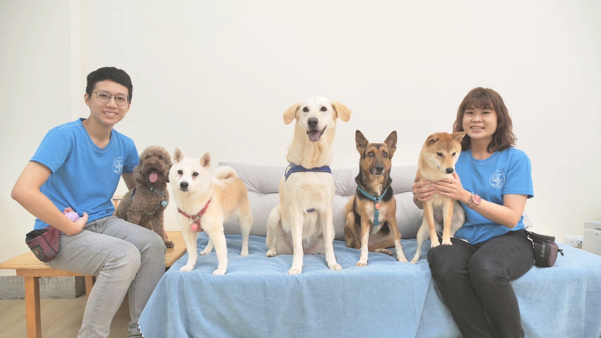 2021.04 台南嘉南藥理大學 療癒犬體驗活動 活動紀錄