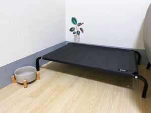 每個空間都會有的療癒犬休息區與水碗